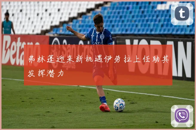 弗林蓬迎来新机遇伊劳拉上任助其发挥潜力