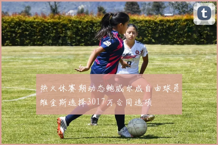 热火休赛期动态鲍威尔成自由球员维金斯选择3017万合同选项